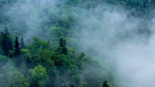 驻日美军基地附近水污染物超标三百倍，环保之痛亟待关注